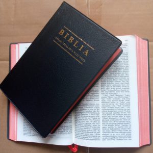 Biblia Habari Njema Vijana