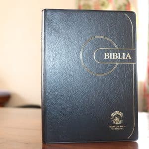 Swahili Bible UV042