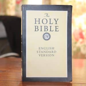 The Holy Bible (ESV)